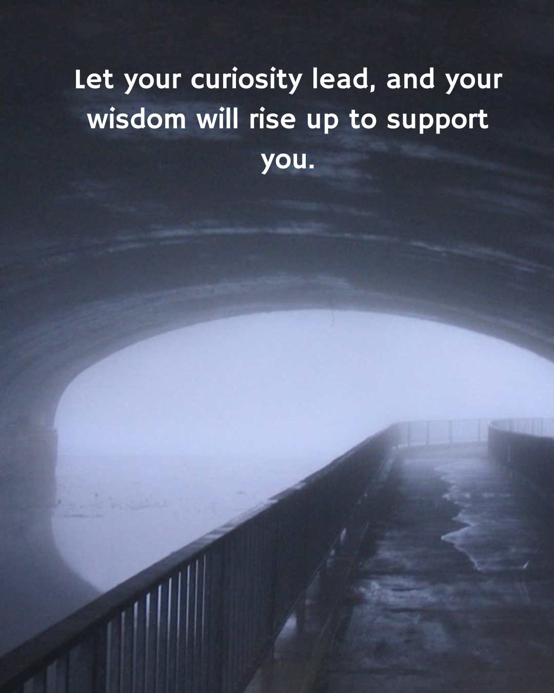 Let Your Curiosity Lead…